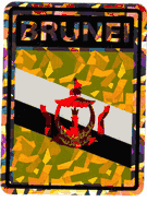 Brunei Vinyl Reflective Decal