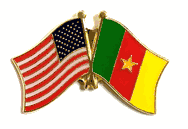 Cameroon Flag Lapel Pin - Double