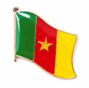 Cameroon Flag Lapel Pin - Single