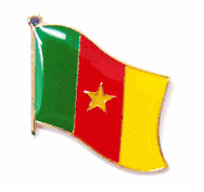 Cameroon Flag Lapel Pin - Single