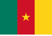 Cameroon Polyester 3x5