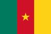 Cameroon Polyester 3x5
