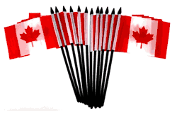 Canada 4"x6" Polyester - 12 Per Pack