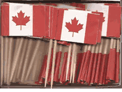 Canada Flag Toothpicks 
