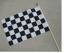Checkered Plastic Racing Flag on wood stick - 11"x17" 