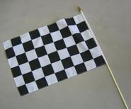 Checkered Plastic Racing Flag on wood stick - 11"x17" 