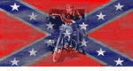 Confederate Rebel With A Cause