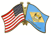 Delaware Flag Lapel Pin - Double