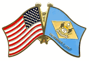 Delaware Flag Lapel Pin - Double