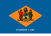 Delaware State Flag