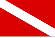 Diver Down Polyester Flag
