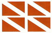 Diver Down Stickers - sheet of 50