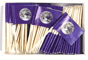 Earth Flag Toothpicks