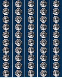 Earth Day Flag Stickers