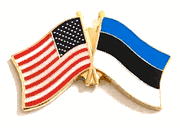 Estonia Flag Lapel Pin - Double
