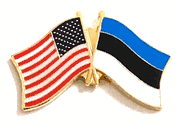 Estonia Flag Lapel Pin - Double