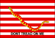 First Navy Jack Polyester Flag