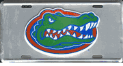 Florida Gators Chrome