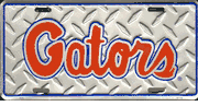 Florida Gators Diamond Chrom