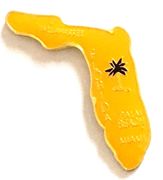 Florida Map Lapel Pin 