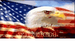 Freedom Eagle USA