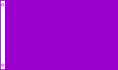 Full Size Polyester Solid Purple Flag