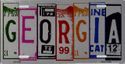Georgia State Art Brushed License Plate