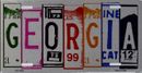 Georgia State Art Brushed License Plate