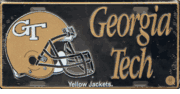 Georgia Tech Yellow Jackets