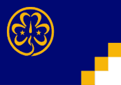 Girl Scouts Flag