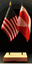 Greenland and US Flag Desk Set