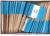 Guatemala Flag Toothpicks