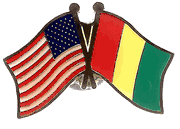 Guinea Flag Lapel Pin - Double