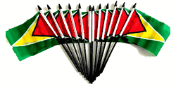 Guyana 4"x6" Polyester - 12 Per Pack
