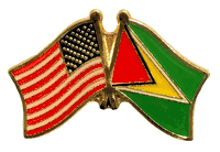 Guyana Flag Lapel Pin - Double