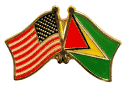 Guyana Flag Lapel Pin - Double