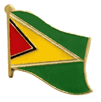 Guyana Flag Lapel Pin - Single