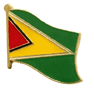 Guyana Flag Lapel Pin - Single