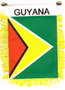 Guyana Mini Window Banner 