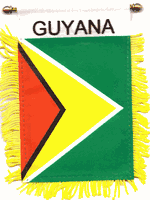 Guyana Mini Window Banner 