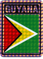 Guyana Vinyl Reflective Decal
