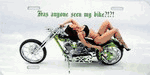 Has Anybody Seen My Bike