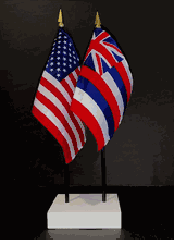 Hawaii and US Flag Desk Set