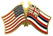 Hawaii Flag Lapel Pin - Double