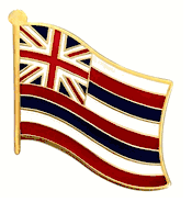 Hawaii Flag Lapel Pin - Single