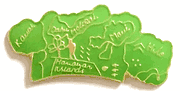 Hawaii Map Lapel Pin