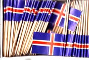 Iceland Flag Toothpicks