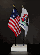Illinois and US Flag Desk Set