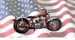 Indian Motorcycle 