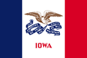 Iowa Polyester 3'x5'